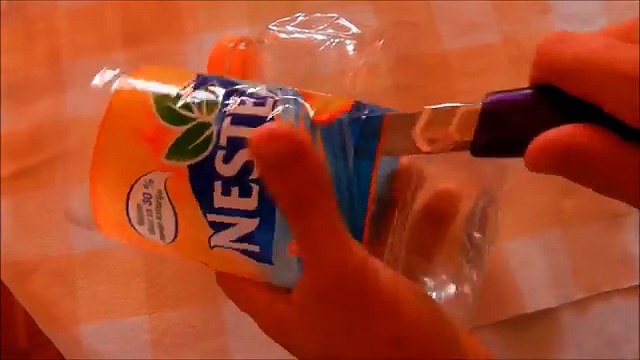 How to make traps for flies and mosquitoes _ 3 VERSIONS