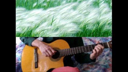 Blowing in the wind (Chet Atkins arrangement) - Fingerstyle guitar