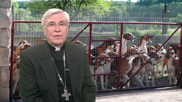 Monseigneur Di Falco - Il y a abattoirs et abattoirs !