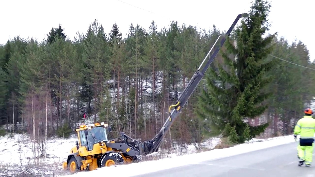 Volvo L70G Collect and Raising a Christmastree