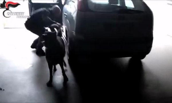 Bergamo - sgominato un traffico internazionale di droga: 15 arresti