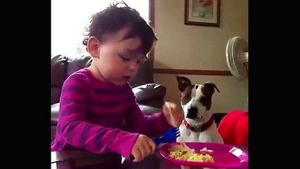 Funny Baby Videos - Best Cute Baby Video Compilation #13 - New Cute Baby Videos For Kids 2016 - [HD]