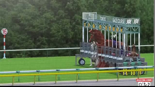 Crazy Japan Horse Racing