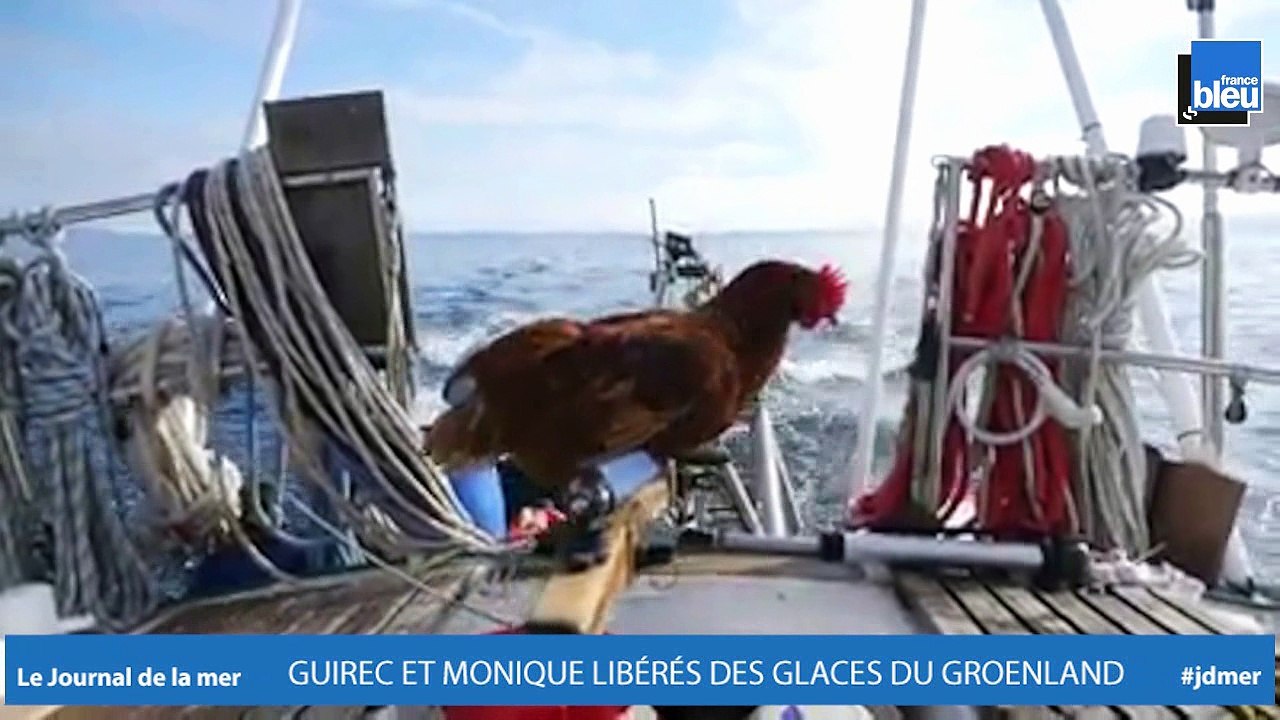 JOURNAL DE LA MER | Guirec et Monique ont été libérés des glaces du Groënland