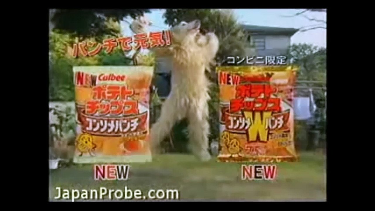 Creepy japanese calbee consome panchi dog commercials