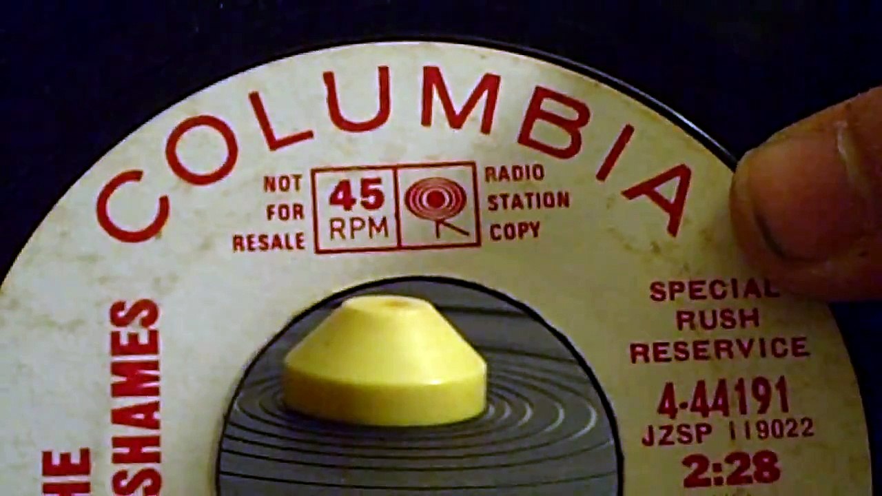 The Cryan' Shames - It Could Be We're In Love 45 Record