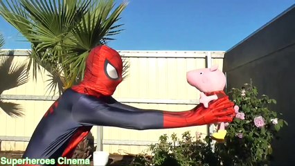 Spiderman vs Joker vs Peppa Pig - Pink Peppa Goes in Jail - Fun Superhero Movie in Real Li
