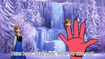 Frozen Finger Family Song Disney Nursery Rhymes | Frozen Songs Cartoon Baby Learning Song