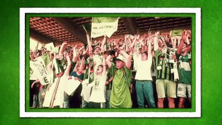 The History of VfL Wolfsburg