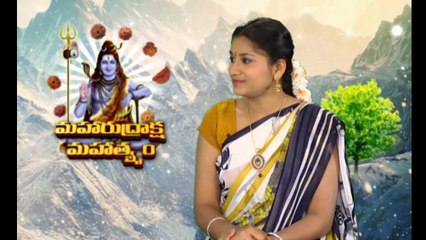 Rudraksha varieties- Maha Rudraksha,Bhadraksha,Indraksha and Somaksha