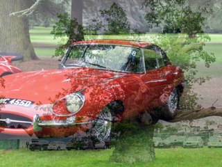 Blenheim Palace - Salon Prive - Der Traum aller Autoliebhaber - Supercar Show