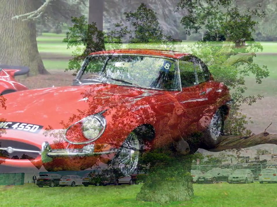 Blenheim Palace - Salon Prive - Der Traum aller Autoliebhaber - Supercar Show