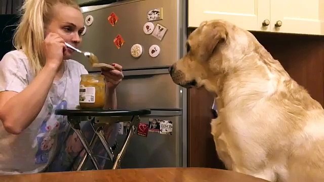 a_mikhailovskiyЗрители и читатели часто задают вопросы.