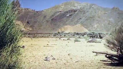 Deinonychus vs. Sauroposeidon Dinosaur Animation