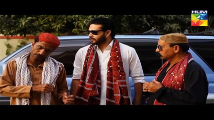 Mr. Shamim Episode 46 Full Hum TV Drama 30 Jan 2016