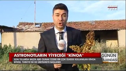 Kinoa Nedir , Nasıl Kullanılır ? - Kinoa Satış Sitesi