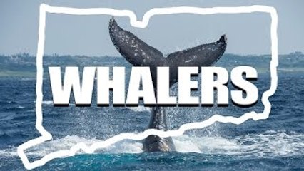 Mots Vous Do not Understand Sauf si vous êtes Du Connecticut