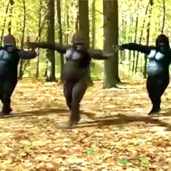 i have never seen this amazing dance before this.