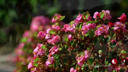 The jacksons next generation . S01E01 (Ordinary Family, Extraordinary Name) New Tv Series