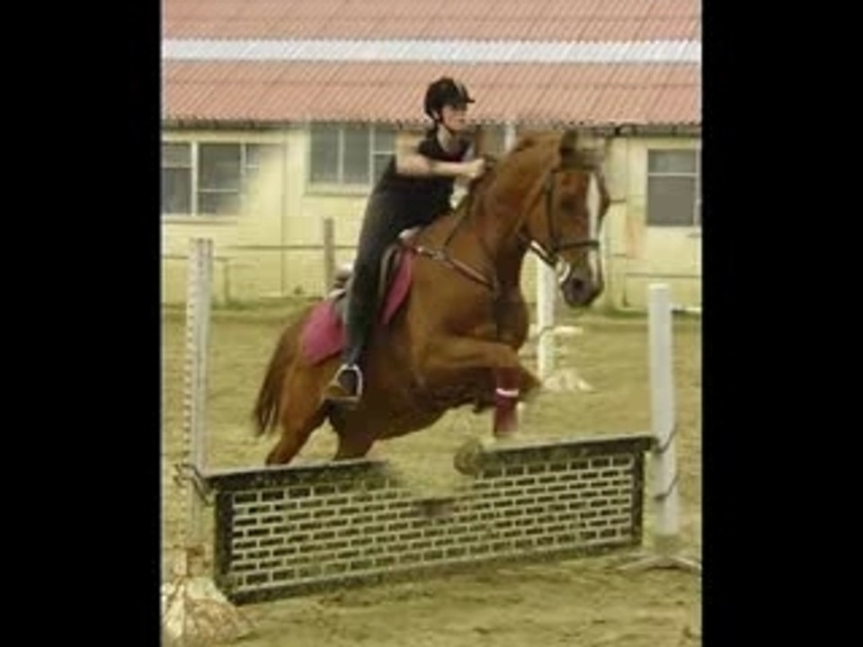 Markiii ♥