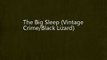 The Big Sleep (Vintage Crime/Black Lizard)