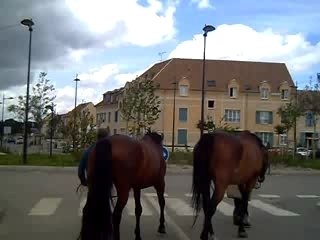 070616 En route vers les Prés Bois arcy