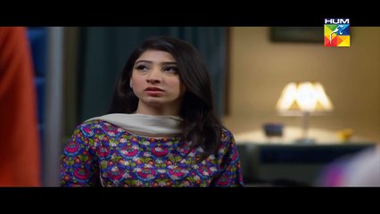 Haya Kay Daman Main Episode 4 Full HUM TV Drama 04 April 2016