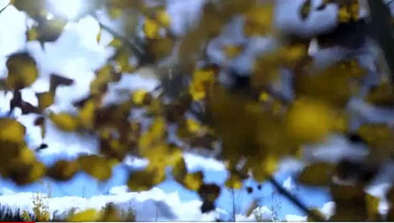 Yukon Gold: S04E08: 'Double Down'
