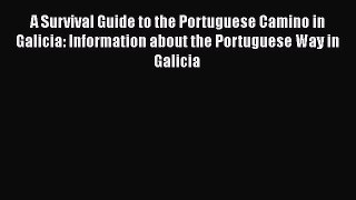 Download A Survival Guide to the Portuguese Camino in Galicia: Information about the Portuguese