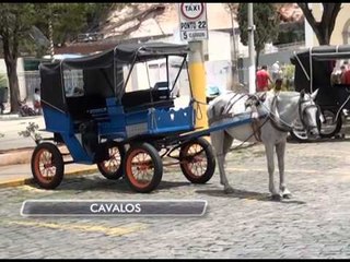 06-03-2014 - CAVALOS - ZOOM TV JORNAL