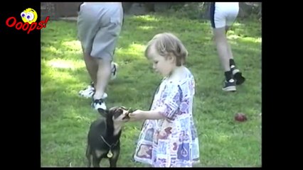Funny Animals - Funny Dogs FAIL Compilation  types of movies 2016