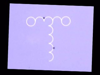 Manipulating microscopic magnetic beads at MIT