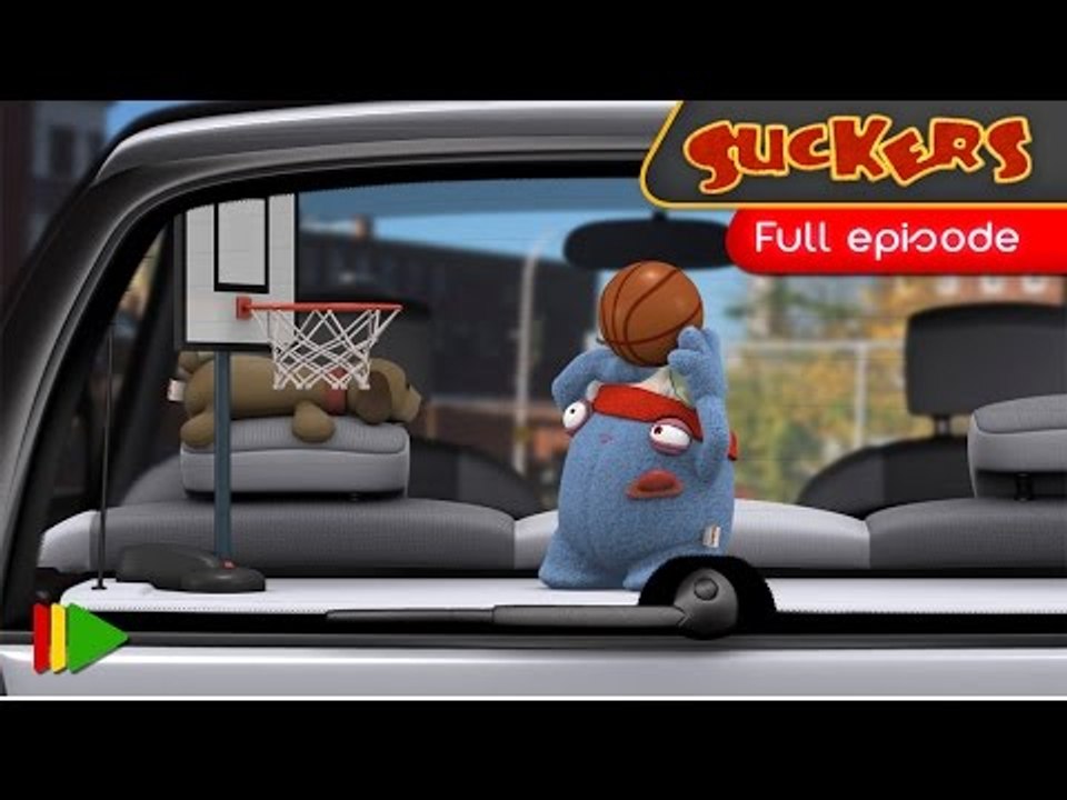 Suckers - 79 - Basket