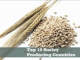 Top 10 barley producing countries