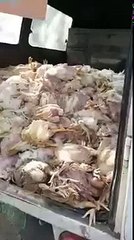 for those pakistani and indians who like fast food