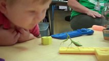Praying Mantis Attacks Babys Face