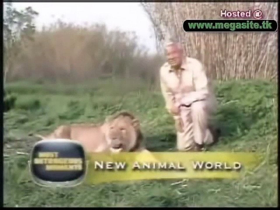 Funny Animals