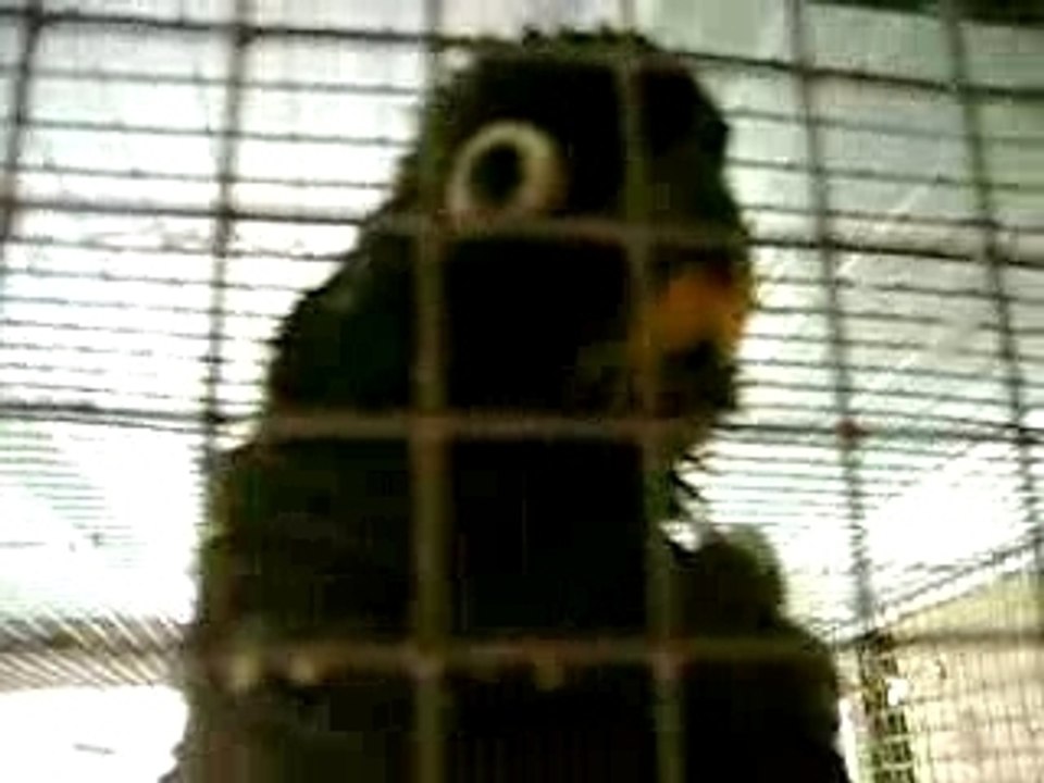 MOV00305