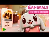 Canimals - 48 - L'anniversaire de Mimi