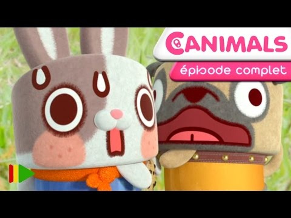 Canimals - 36 - Dans les airs