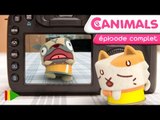 Canimals - 30 - L'appareil photo