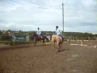 Lulu & oh miracle obs. coco