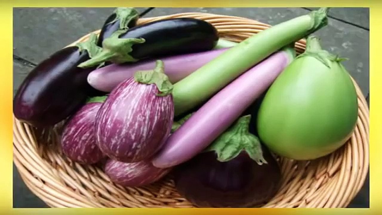 Ini Dia 9 Obat Asam Urat Ampuh Alami Dari Tumbuhan