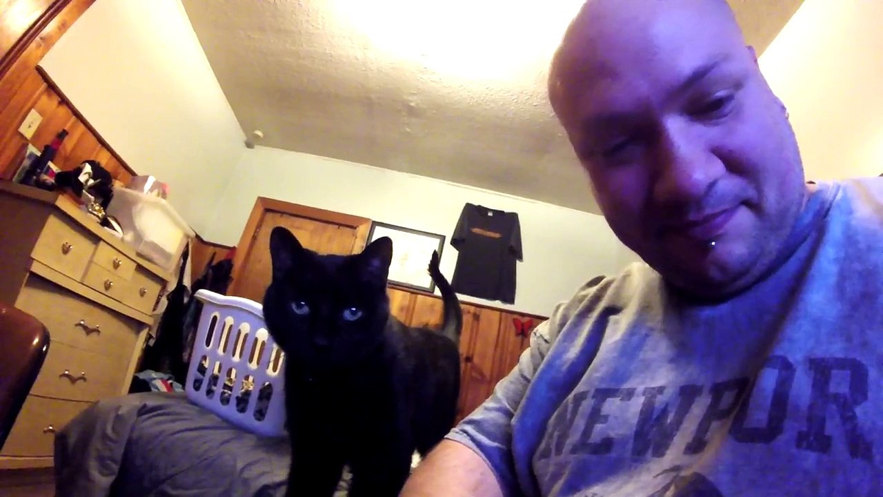 My Cat Being Adorable