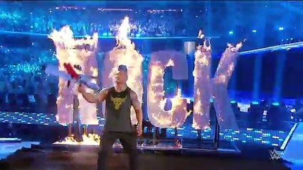 WWE's Brie Bella makes a shocking announcement April 8, 2016