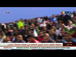 اخر اخبار مباريات البطولة الجزائرية في الموجز المحلي