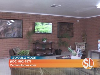 Buffalo Ridge community and open house
