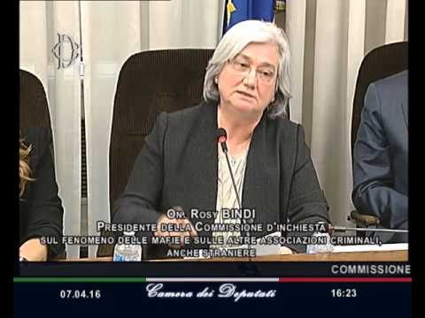 Roma - Audizione Maggioni e Dall'Orto (07.04.16)