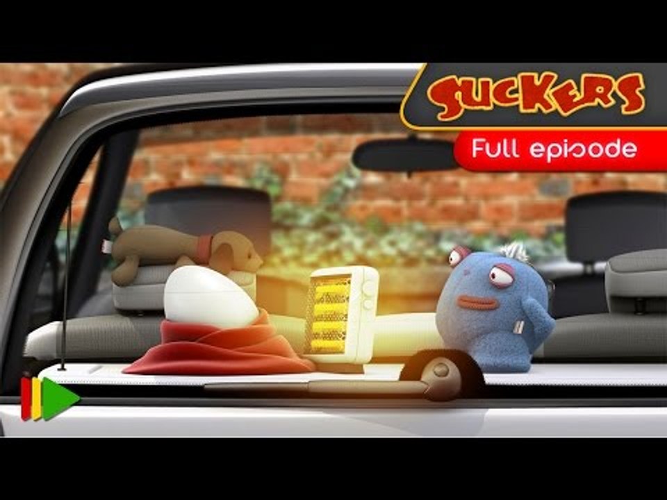 Suckers - 48 - Eggs