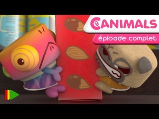 Canimals - 14 - L'heure du goûter